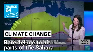 Down to Earth Rare deluge to hit parts of the Sahara • FRANCE 24 English [upl. by Durrell323]