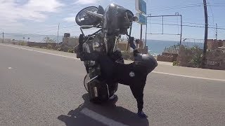 AMAZING Harley Davidson Bagger WHEELIES On Highway HD DRIFTING Harley STUNTS WHEELIE DRIFT Video [upl. by Cyd]