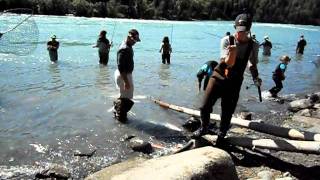 Bings Landing Alaska 2011 Sockeye Fishing [upl. by Acinom]