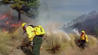 Reporta Conafor seis incendios forestales activos en las altas montañas [upl. by Ettezus]