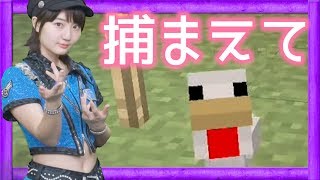 【マイクラ】家畜仕分けで新井ちゃんは今回も怒ります【GameMarket】 [upl. by Saire]