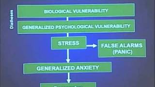 Anxiety and Mood Disorders in DSM5 [upl. by Hinson]