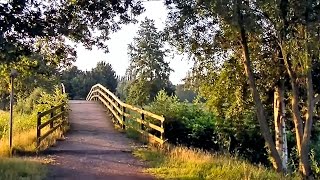 Tour durch den Bokeler Volkspark in Papenburg [upl. by Nihcas]