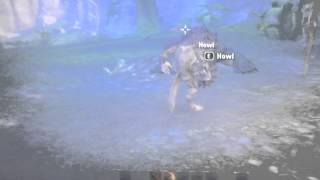 ESO werewolf howling [upl. by Trow]