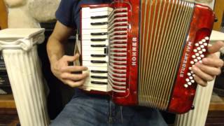 How to Play a 32 Bass Accordion  Lesson 1  Introduction to Minor Scales  Minka [upl. by Enamrej60]