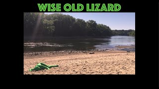 Ryan Gebhardt  Wise Old Lizard Music Video [upl. by Descombes]