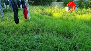 Single Mum With TERMINAL Illness Gets a Full Satisfying Backyard Lawn Care MAKEOVER [upl. by Aryk]