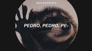 la canción de pedro  PEDRO  Raffaella Carrà Jaxomy Agatino Romero Remix sub español [upl. by Berg]