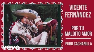 Vicente Fernández  Puro Cachanilla Cover Audio [upl. by Ecnatsnoc794]