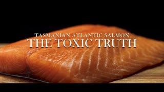 Tasmanian Atlantic Salmon The Toxic Truth [upl. by Llerrit350]