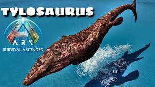 NEW Tylosaurus Mod in Ark Survival Ascended [upl. by Arihsak478]