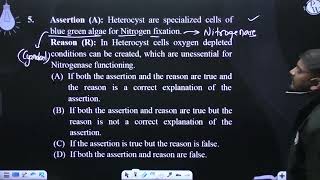 Assertion A Heterocyst are specialized cells of blue green algae for Nitrogen fixation Reaso [upl. by Cece]