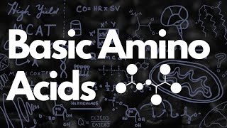 Basic Amino Acids MCAT  Histidine Tautomerization  MCAT [upl. by Hansen]