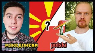 Macedonian Language VS Polish  How similar are Slavic Languages [upl. by Nur513]