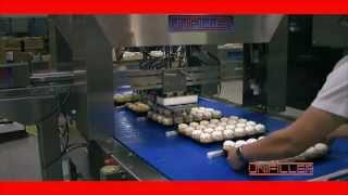 Cupcakes amp Muffins  Depositor and Decorating Equipment from Unifiller [upl. by Neelahtak77]