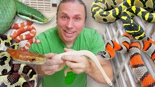 LETS TALK ABOUT MY SNAKES  BRIAN BARCZYK [upl. by Susi]