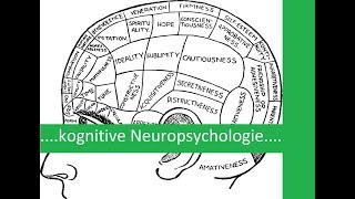 kognitive Neuropsychologie  Einführung Subtraktivität Modularität DoppelteDissoziation [upl. by Mcmurry]