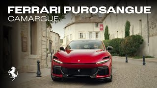 The Ferrari Purosangue  an experience unlike any other [upl. by Kwasi935]