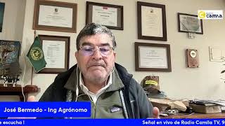 Conversando de Agricultura en RadioCamilaTV de LosAngelesCL [upl. by Naegem]