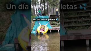 UN DÍA NORMAL EN LAS PILETAS  A day in the pool 💦 humor risa viral funny funnyvideo comedia [upl. by Burd]