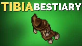 TIBIA BESTIARY Feverish Citizen  Venore [upl. by Tarah]