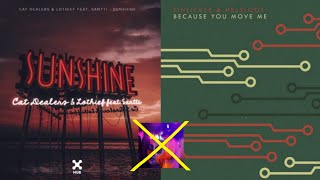 Because You Move Me x Sunshine Tinlicker amp Helsloot vs Cat Dealers [upl. by Atyekram]