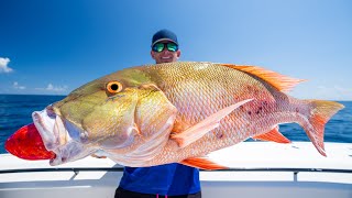 FATAL Truth about Deep Sea FishingCatch Clean Cook Snapper [upl. by Bensen]