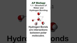 AP Bio 11 Part 2  Hydrogen Bonding apbiology biochemistry [upl. by Attekahs170]