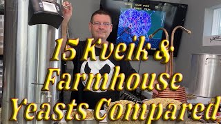 15 Norwegian Kveik and Farmhouse yeasts head to head comparisons  Part 1 of 4 [upl. by Odlaner]