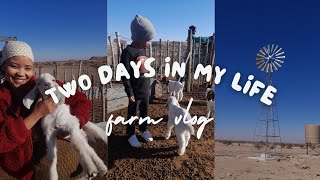 Vlog  Come To The Farm With Me  Namibian YouTuber [upl. by Schmidt263]