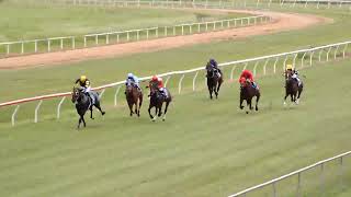 Mareeba 11052024 Race 1 [upl. by Ahsatam]