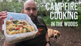 Overnight woodland bushcraft camp and cook with my dog [upl. by Minnaminnie]