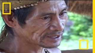 Rain Forest Shaman  National Geographic [upl. by Kwon634]