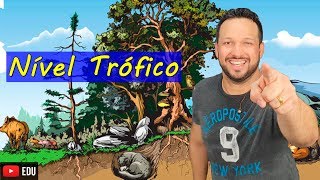 Nível Trófico  Ecologia  Biologia com o Tubarão [upl. by Shanta]