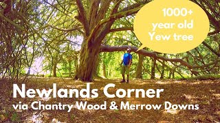 I underestimated a hike but saw Newlands Corner trail in a new light [upl. by Arika]