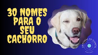 Nomes para CACHORROS machos  Lindos e Fofos [upl. by Krigsman]