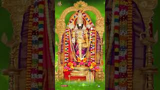 Tirumala Vaasuda Govinda Lord Venkteswra Swami  Telugu Devotional Songs  Jayasindoor [upl. by Hilly685]