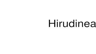 How to pronounce Hirudinea [upl. by Arundell444]