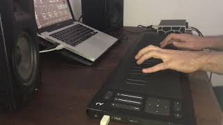 ROLI Seaboard RISE quotAutumn Leavesquot Acoustic Guitar Preset [upl. by Neenad]