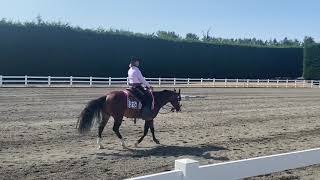 AQHA Ranch Riding Pattern 2 [upl. by Barren]