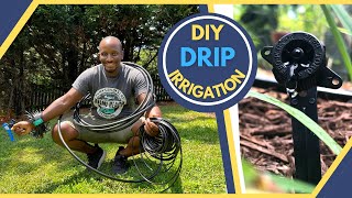 DIY Drip Irrigation System  Easy economical and effective [upl. by Eiuqnom925]