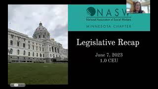 2023 Minnesota Legislative Session Recap [upl. by Nytsirc]