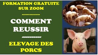 Replay Formation sur Comment Réussir Elevage des Porcs [upl. by Elyrrad]