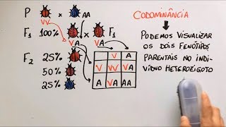 Ausência de dominância  Genética  Resumo Professor Gustavo [upl. by Cornie593]