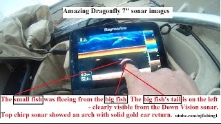 Raymarine Dragonfly 7 sonar fish images explained 3 of 3 [upl. by Loren544]