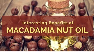 Best Health Benefits Of Macadamia Nut Oil  Benefits Of Macadamia Nut Oil [upl. by Harimas931]