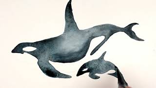 Chromatek Aqua Pens Orca Speed Paint Online Video Tutorials and Downloadable Template [upl. by Hsekin]