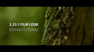 2351  Anamorphic Film Look After Effects  Premiere Pro Tutorial [upl. by Blanche720]