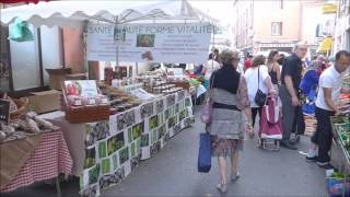 Market in Vaison La Romain Provence [upl. by Rivy463]