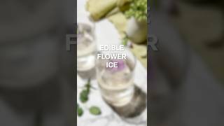 Cocktail Garnish Edible Floral Ice Cubes cocktailgarnish edibleflower [upl. by Ferdie200]